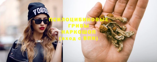 каннабис Аркадак