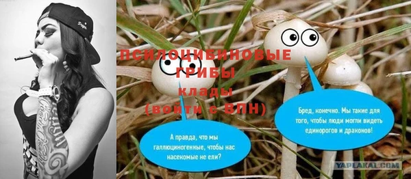 скорость Саяногорск