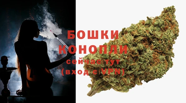 каннабис Аркадак