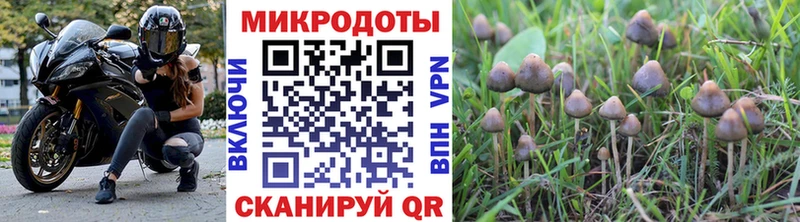 где можно купить наркотик  Куйбышев  Псилоцибиновые грибы прущие грибы 