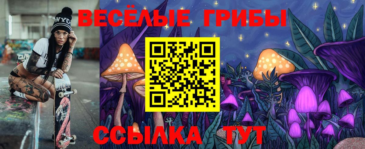 Куйбышев  Галлюциногенные грибы мухоморы  Вход с VPN 